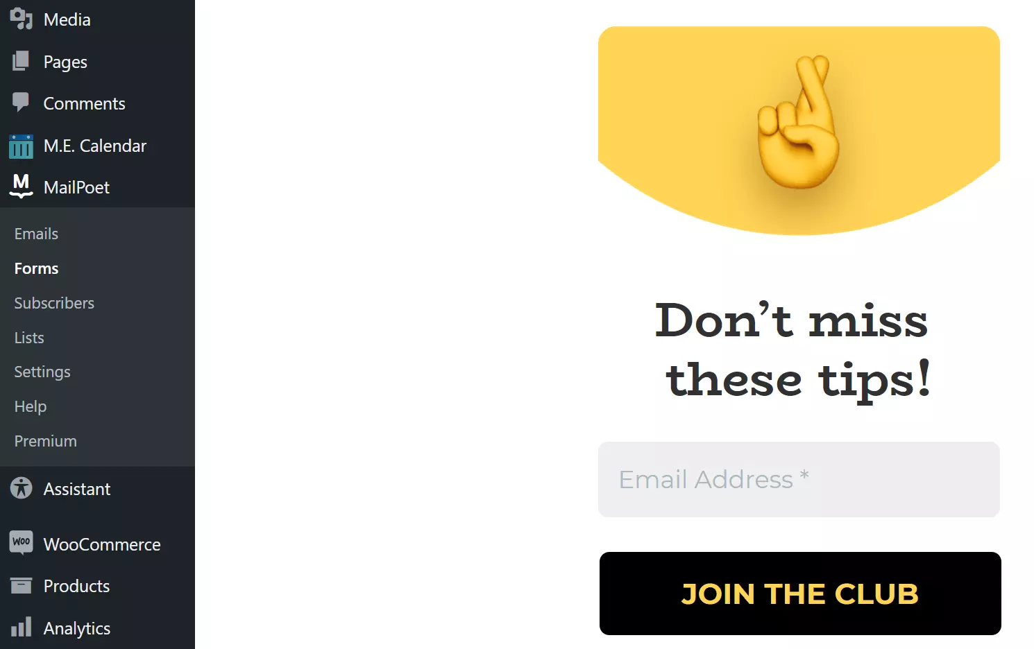 Image: Newsletter editor by MailPoet in WordPress